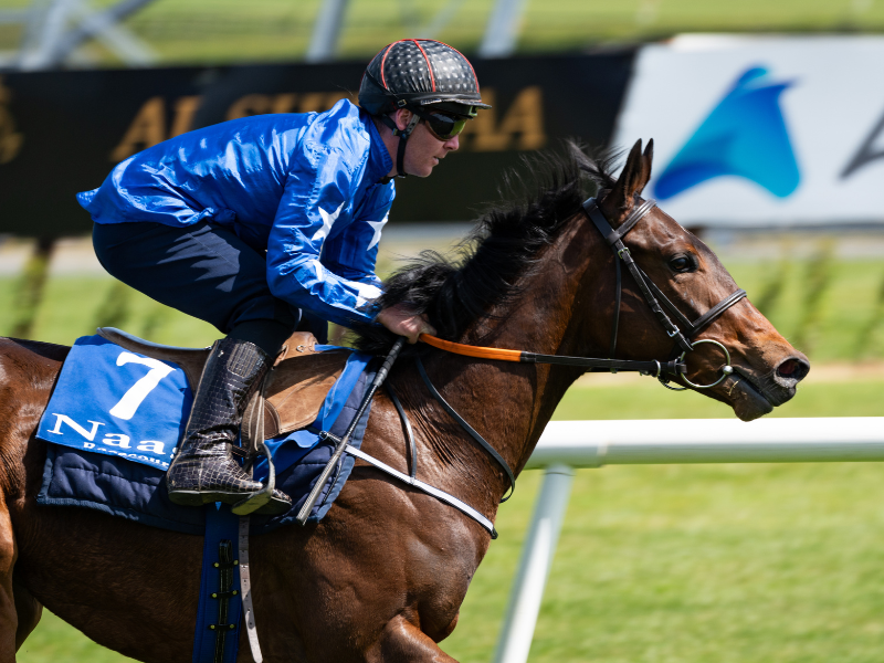 Irish EBF Barrier Trials dates set for May, July, and August 