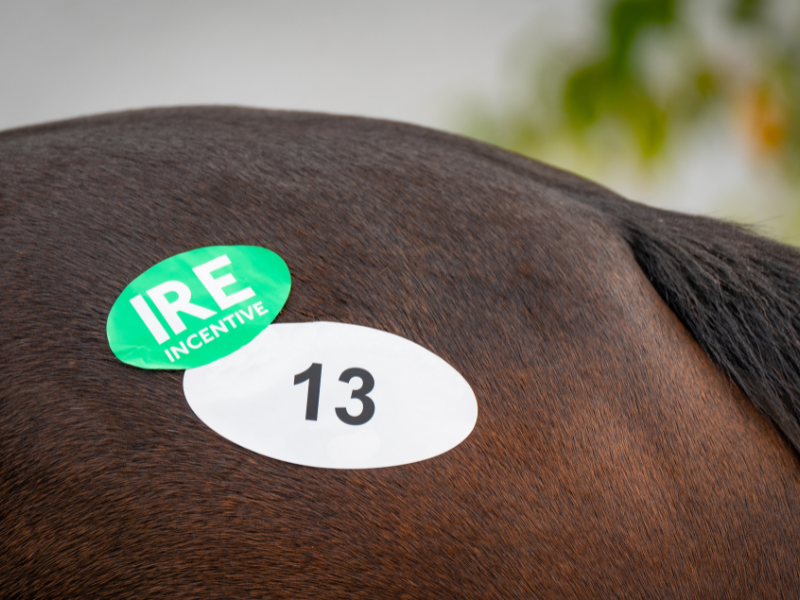 Over €1.5m ready to be spent at Irish sales through IRE Incentive