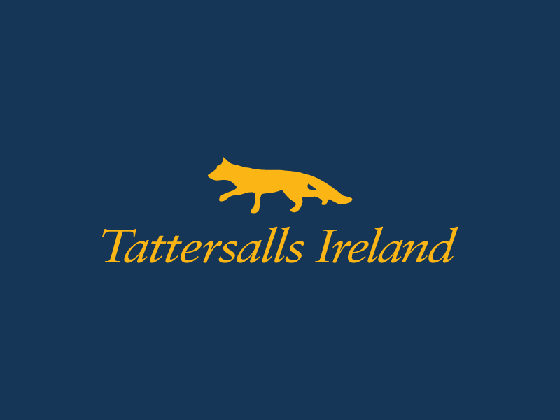 Tattersalls Ireland September Yearling Sale details confirmed