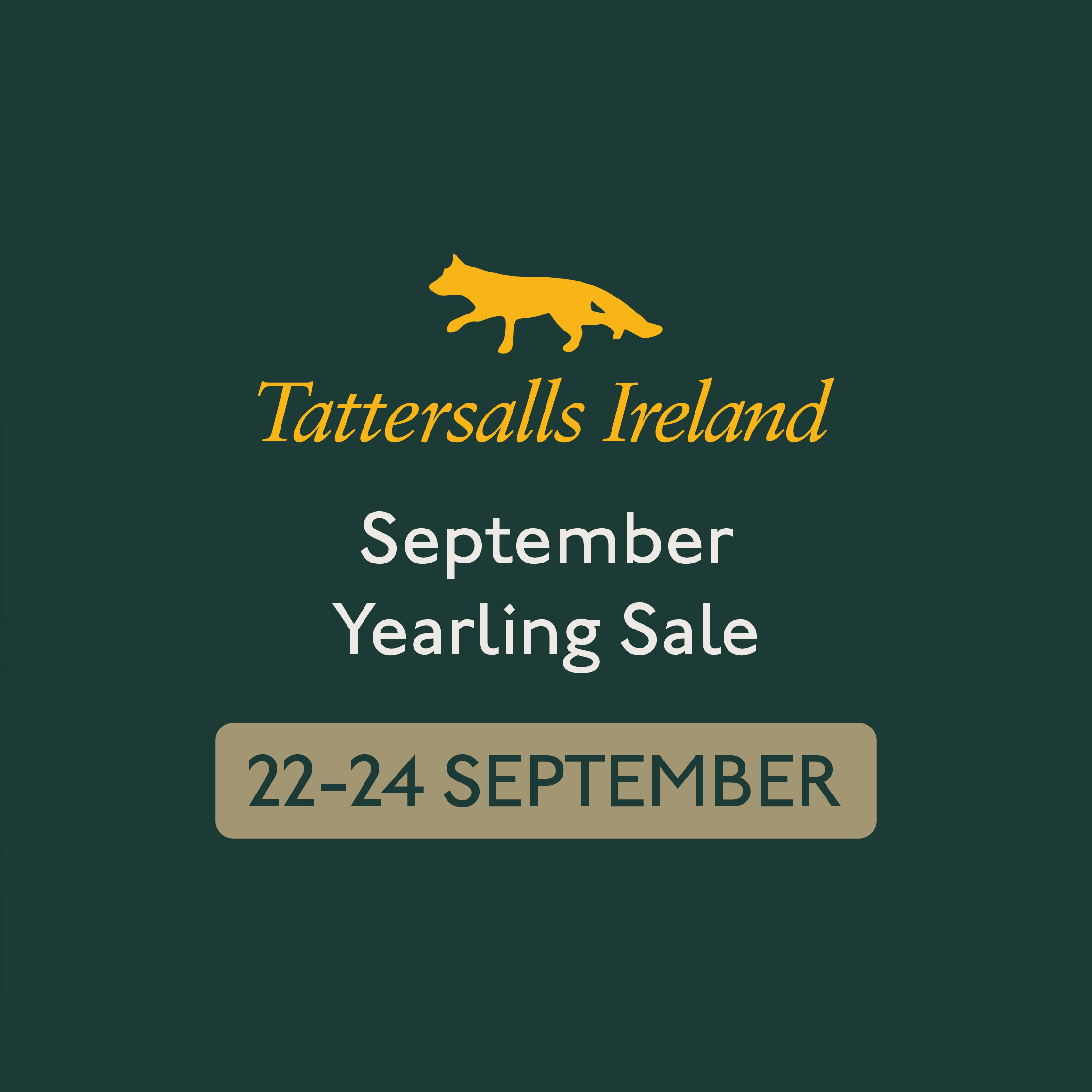 Irish Thoroughbred Marketing - ITM